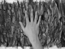 ©Yumi Takeuchi et Paul Hommage