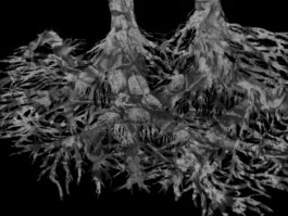 ©Yumi Takeuchi et Paul Hommage