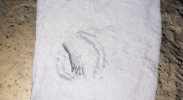 ©Yumi Takeuchi et Paul Hommage