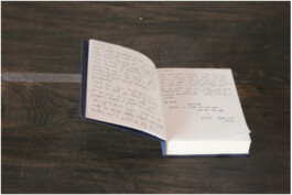 ©Yumi Takeuchi et Paul Hommage