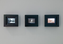  ©Yumi Takeuchi et Paul Hommage