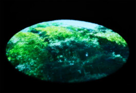 ©Yumi Takeuchi et Paul Hommage