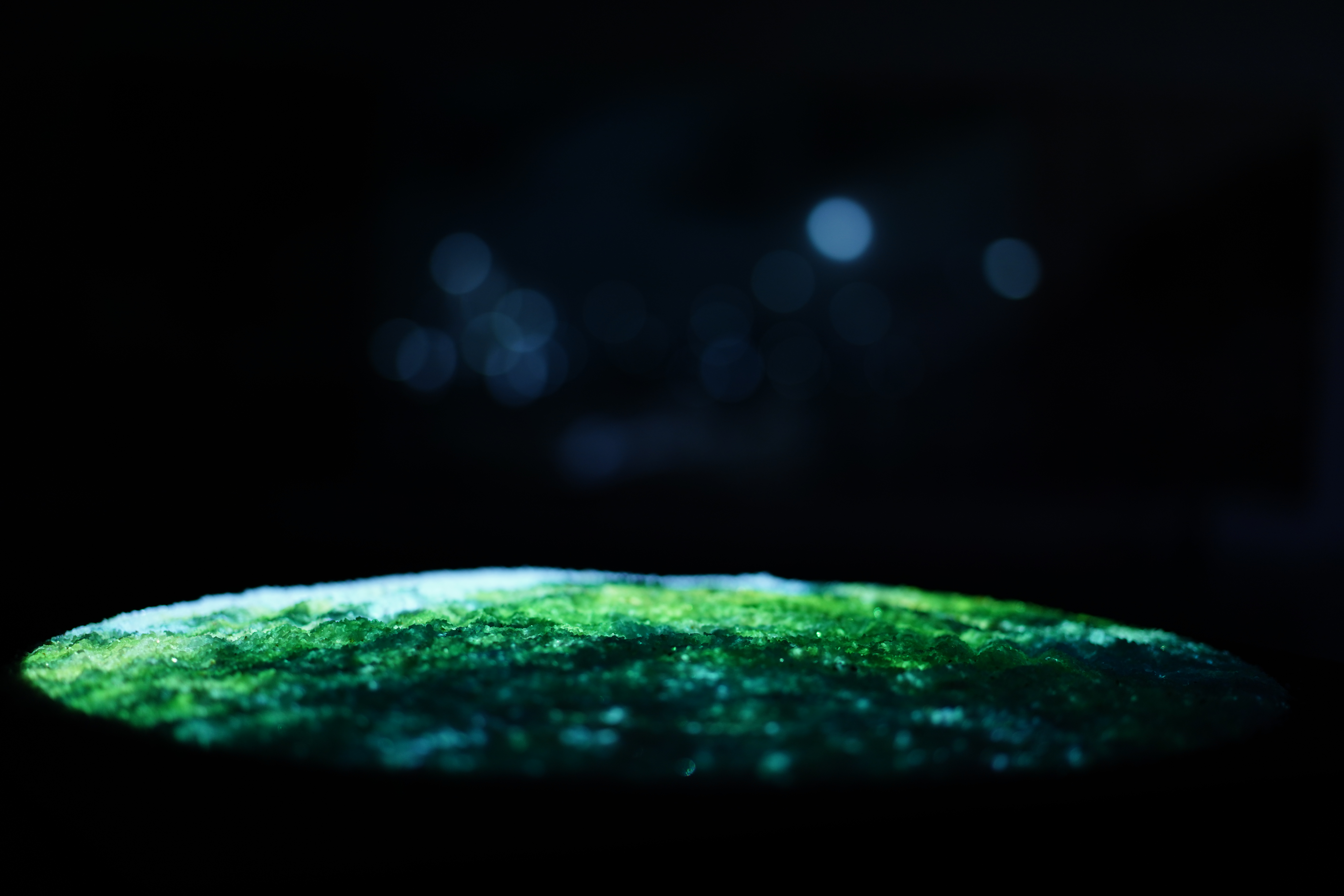 ©Yumi Takeuchi et Paul Hommage