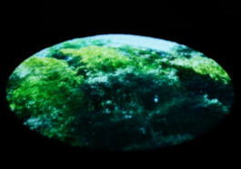  ©Yumi Takeuchi et Paul Hommage