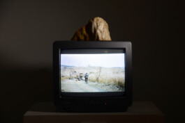 ©Yumi Takeuchi et Paul Hommage