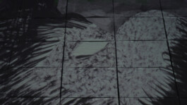 ©Yumi Takeuchi et Paul Hommage