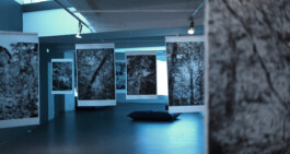 ©Yumi Takeuchi et Paul Hommage