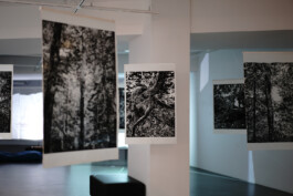 ©Yumi Takeuchi et Paul Hommage