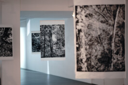 ©Yumi Takeuchi et Paul Hommage