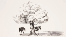 ©Yumi Takeuchi et Paul Hommage