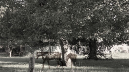 ©Yumi Takeuchi et Paul Hommage