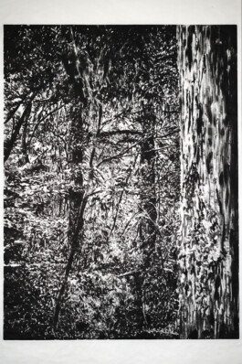 ©Yumi Takeuchi et Paul Hommage