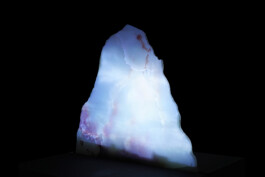 ©Yumi Takeuchi et Paul Hommage