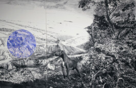 ©Yumi Takeuchi et Paul Hommage