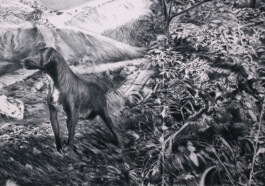  ©Yumi Takeuchi et Paul Hommage