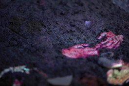 Ceremonu of fire, Work / Web portfolio ©Yumi Takeuchi et Paul Hommage