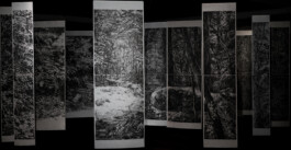 Les lisières, Work / Web portfolio ©Yumi Takeuchi et Paul Hommage